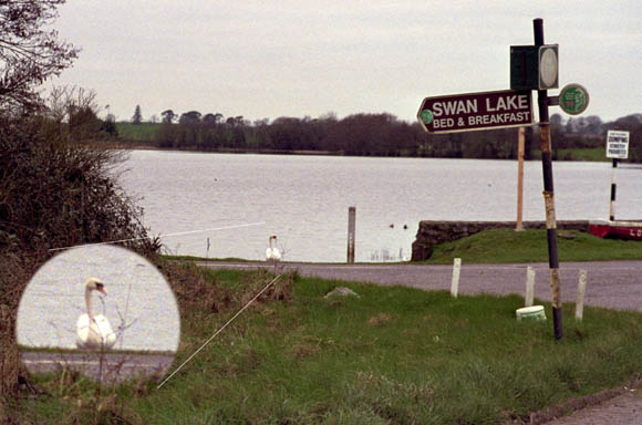 Swanlake Ireland