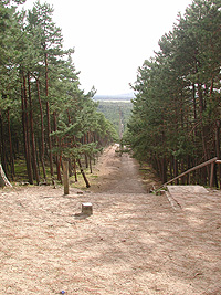 Blick den Berg hinunter